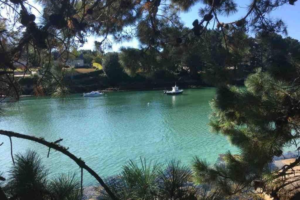 L'Olivier Du Cabellou, A 900 M Des Plages Concarneau Zewnętrze zdjęcie