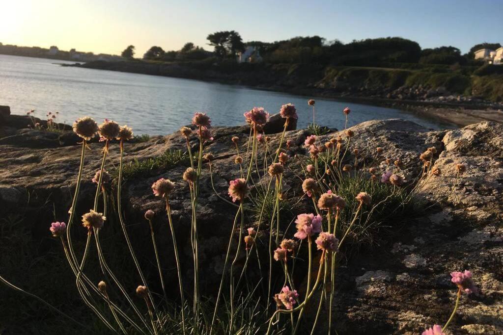 Willa L'Olivier Du Cabellou, A 900 M Des Plages Concarneau Zewnętrze zdjęcie